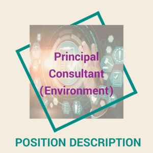 Principal Consultant (Environment)