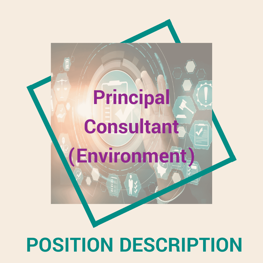 Principal Consultant (Environment)
