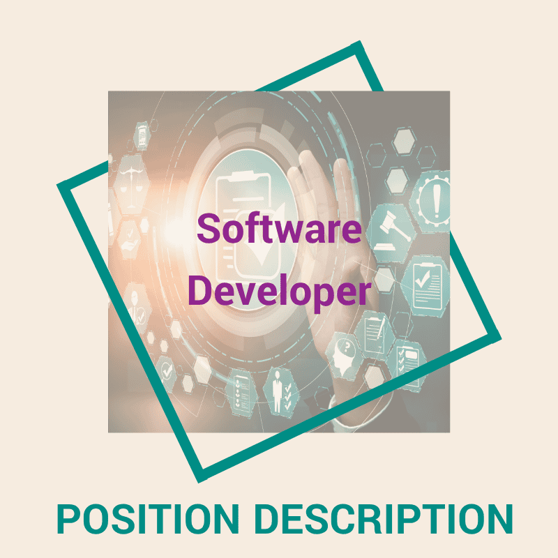 Software Developer
