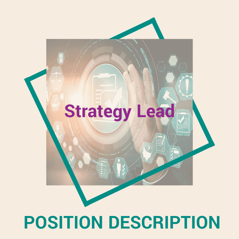 Strategy Lead